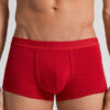 Boxers de algodão superior com logótipo Boxers de algodão superior com logótipo