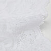 Brazilian lace cueca in 80s style Brazilian lace cueca in 80s style