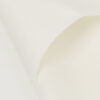 Cuecas de microfibra sem costuras Cuecas de microfibra sem costuras