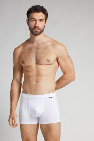 Os boxers de algodão superior indestrutíveis Os boxers de algodão superior indestrutíveis
