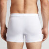 Os boxers de algodão superior indestrutíveis Os boxers de algodão superior indestrutíveis